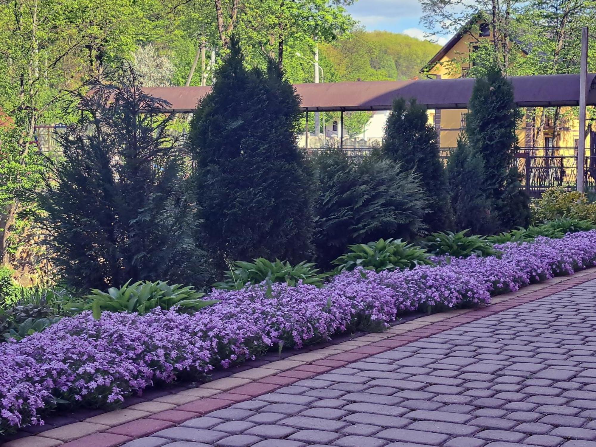 Сонячна Соната Otel Polyana  Dış mekan fotoğraf